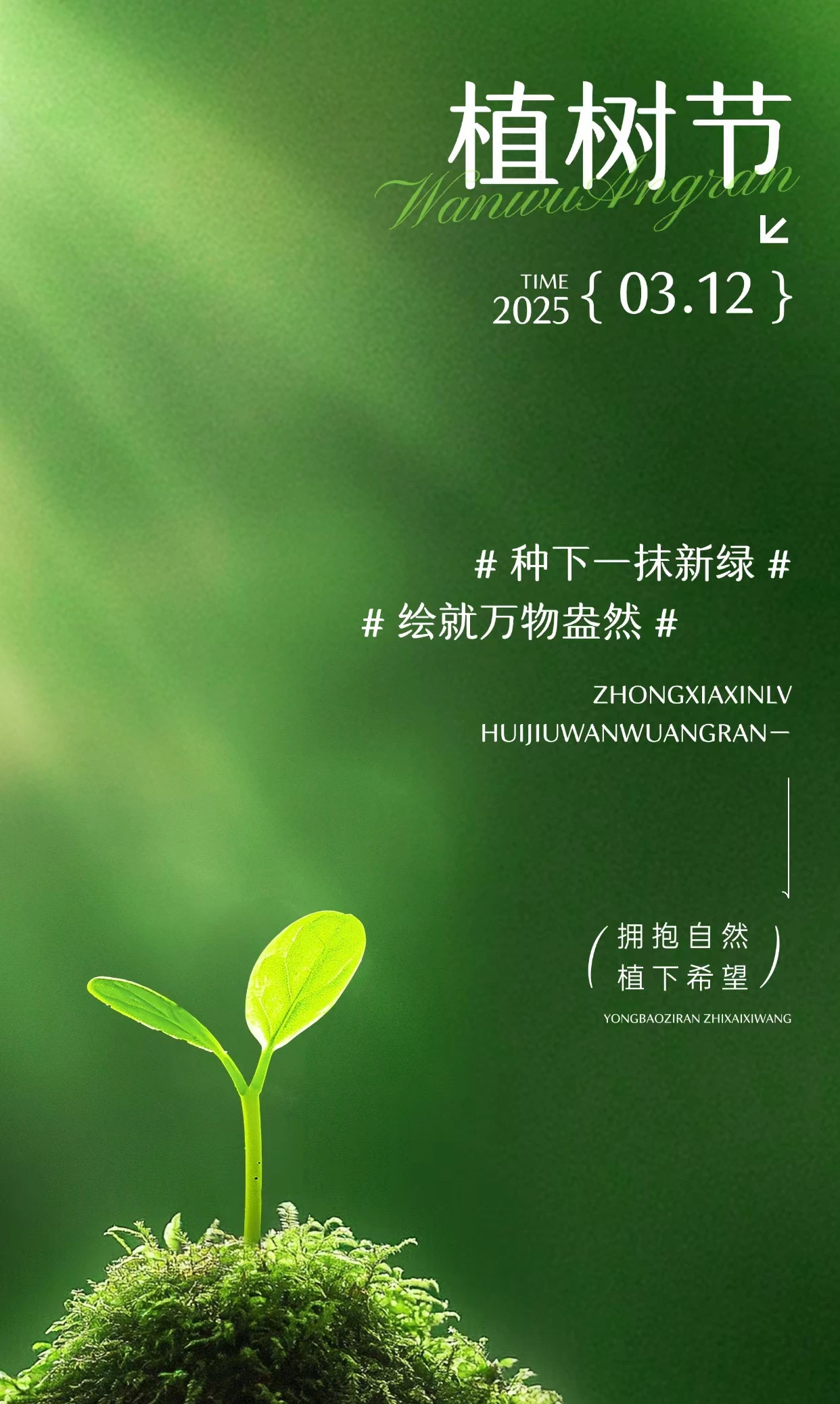 植树
