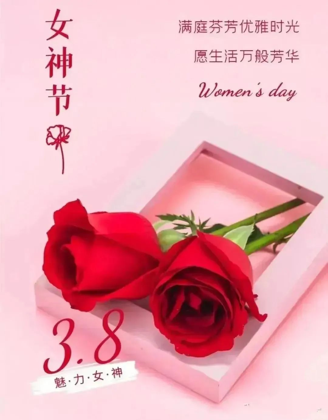 6+溪白+女神节快